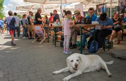 II Rzemieślniczy Piknik Rodzinny!